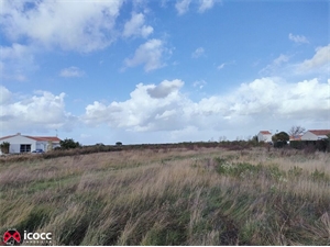terrain à la vente -   85360  LA TRANCHE SUR MER, surface 345 m2 vente terrain - UBI473299052